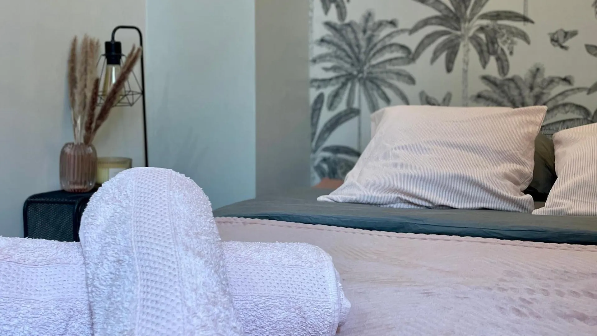 Charmant T1 Cosy Au Coeur Du Centre Historique Montauban Apartament
